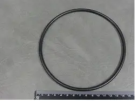 Filter Lid With Optional 10 Tablet Brominator, Bleed Screw & O Rings For Lid, Brominator & Bleed Screw (Components are available individually)